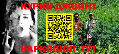 гидра Берёзовский