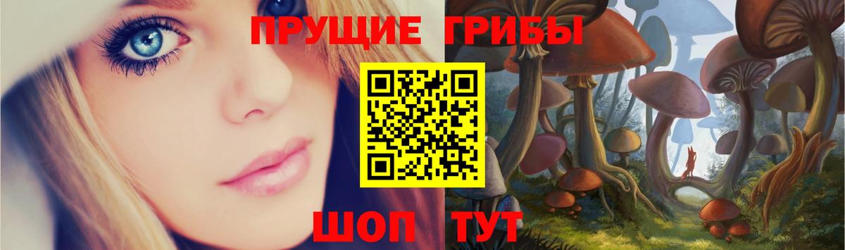 Заводоуковск  Галлюциногенные грибы MAGIC MUSHROOMS  Вход с VPN 